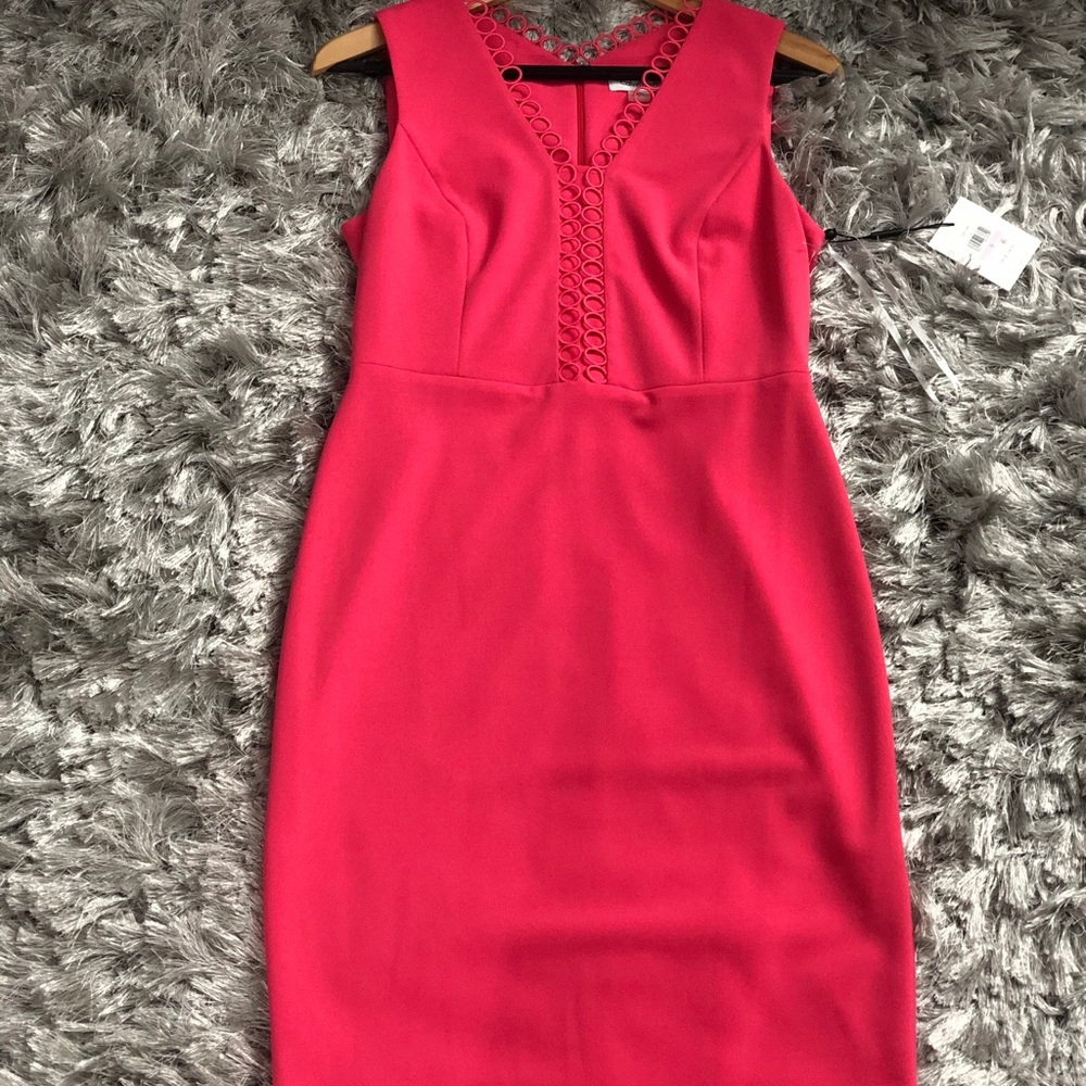 Brand New Calvin Klein Pink Dress